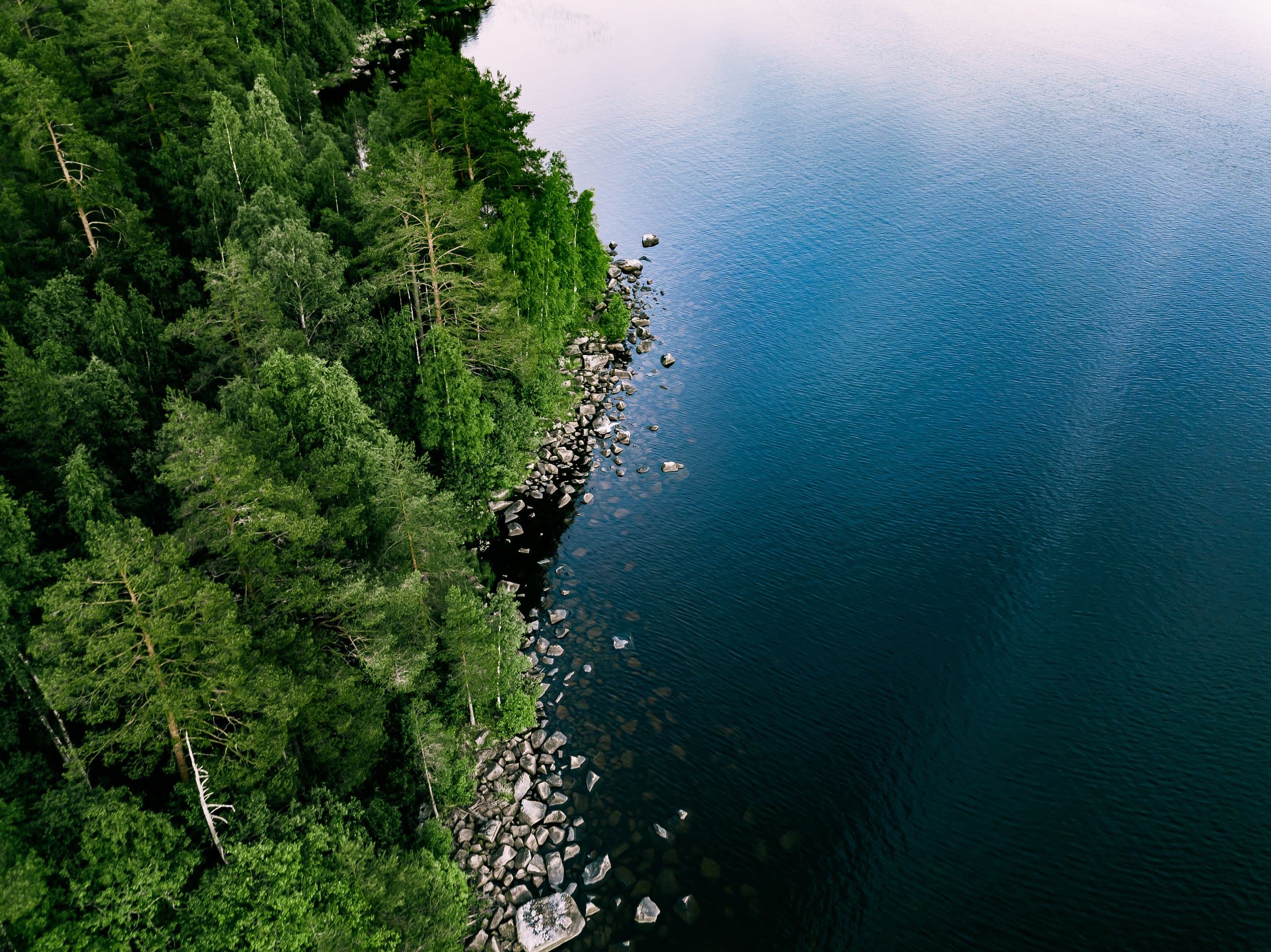 iStock-1460508944